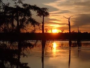 A Sunset Over The Bayou
