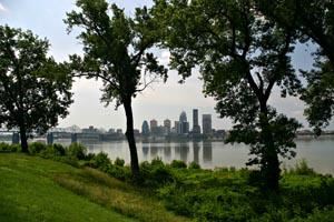 Cityscape Through Trees